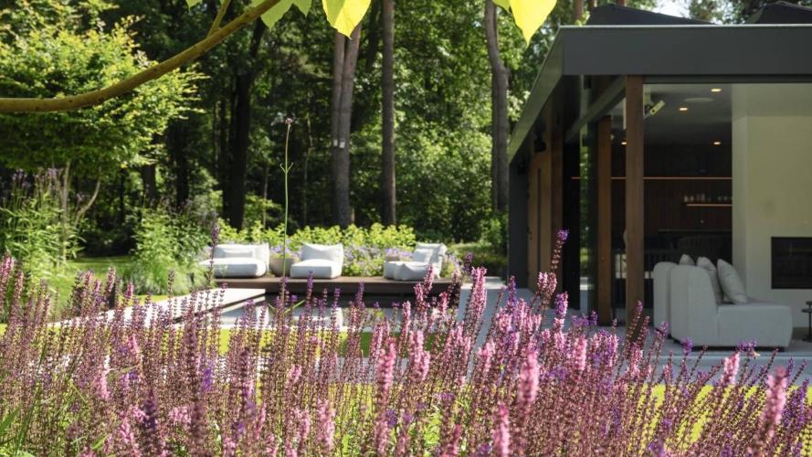 De Sparq in het Brabantse Bos