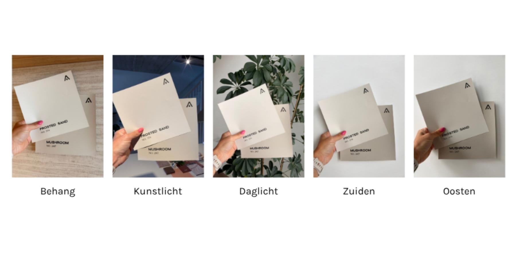 Beige is nooit zomaar beige: De invloed van kleurtoon, merk en lichtinval