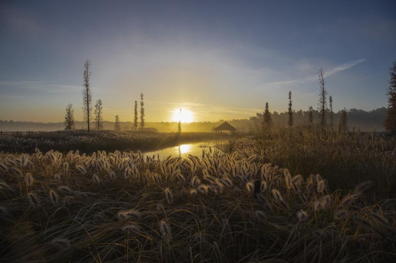 Alle disciplines op tuingebied in eigen huis