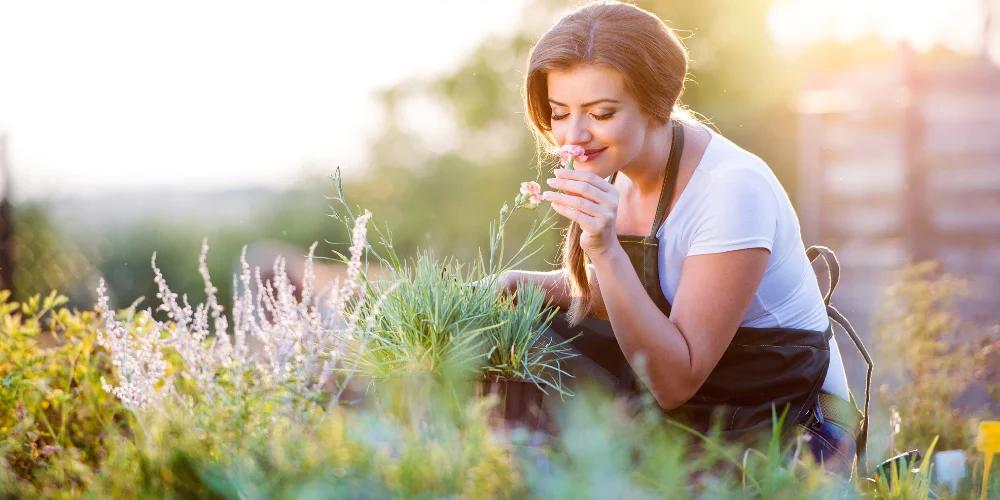 Een groene tuin heeft gunstig effect op uw gezondheid!