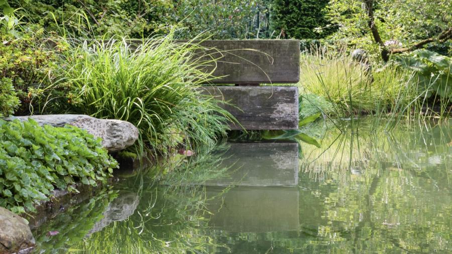 Van Mierlo Tuinen Experience your Nature