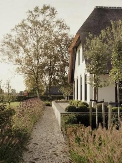 landelijke tuin met beplanting