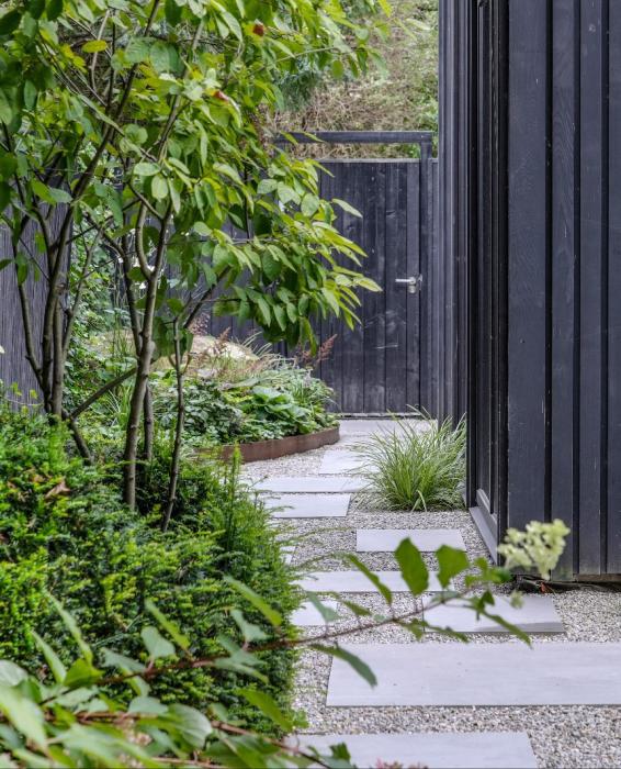 tuin met beplanting