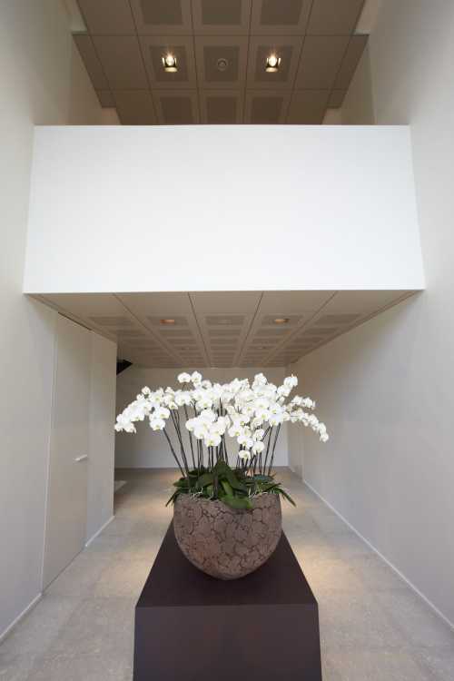 ‘D’ Architectural Concepts BVBA