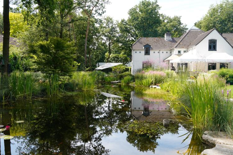 Luxe villatuin in het bos