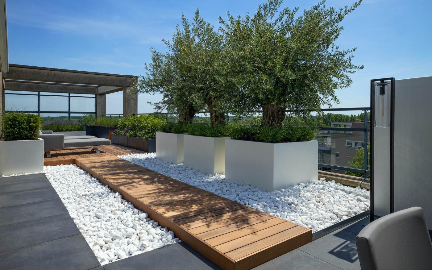 olijfbomen op balkon