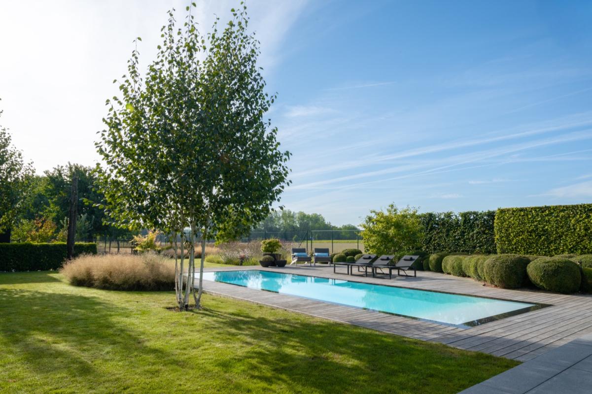 moderne tuin met zwembad