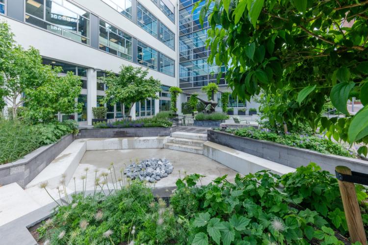 Luxe binnentuin bij Hogeschool Rotterdam