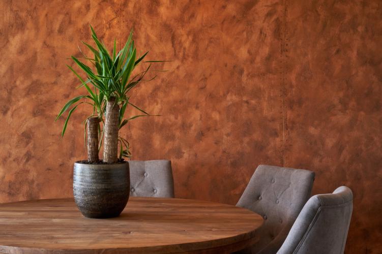 Design wanden in Groesbeek