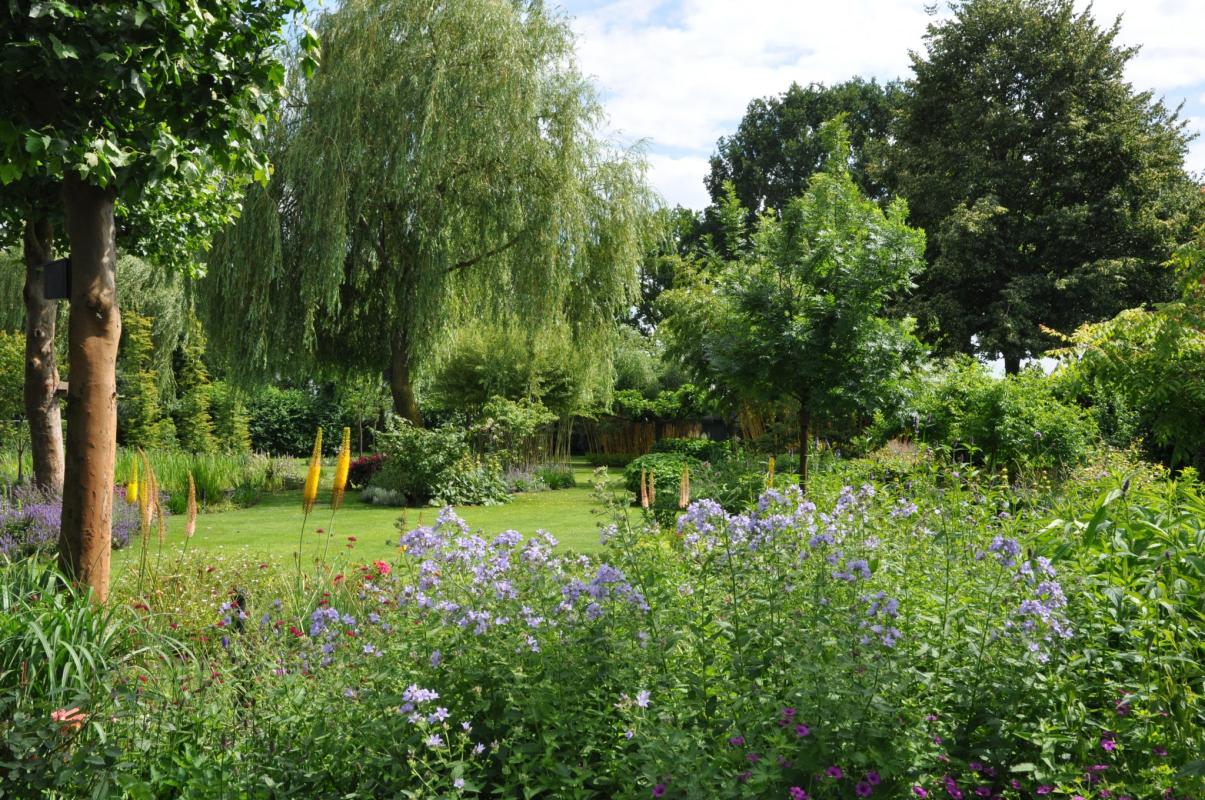 Gazon met planten en bomen
