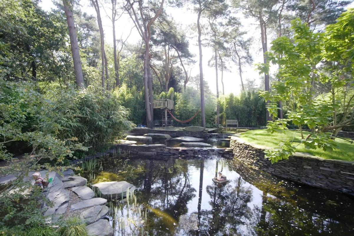 jungle tuin met vijver