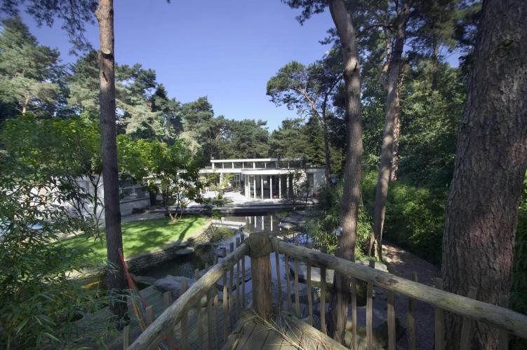 Bijzondere jungle tuin te Son