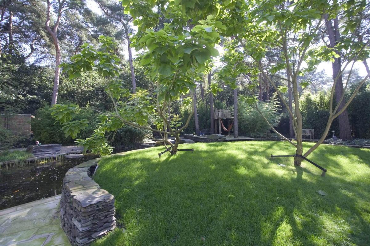 gazon jungle tuin