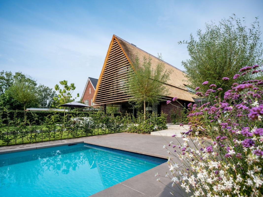 tuin met zwembad en beplanting