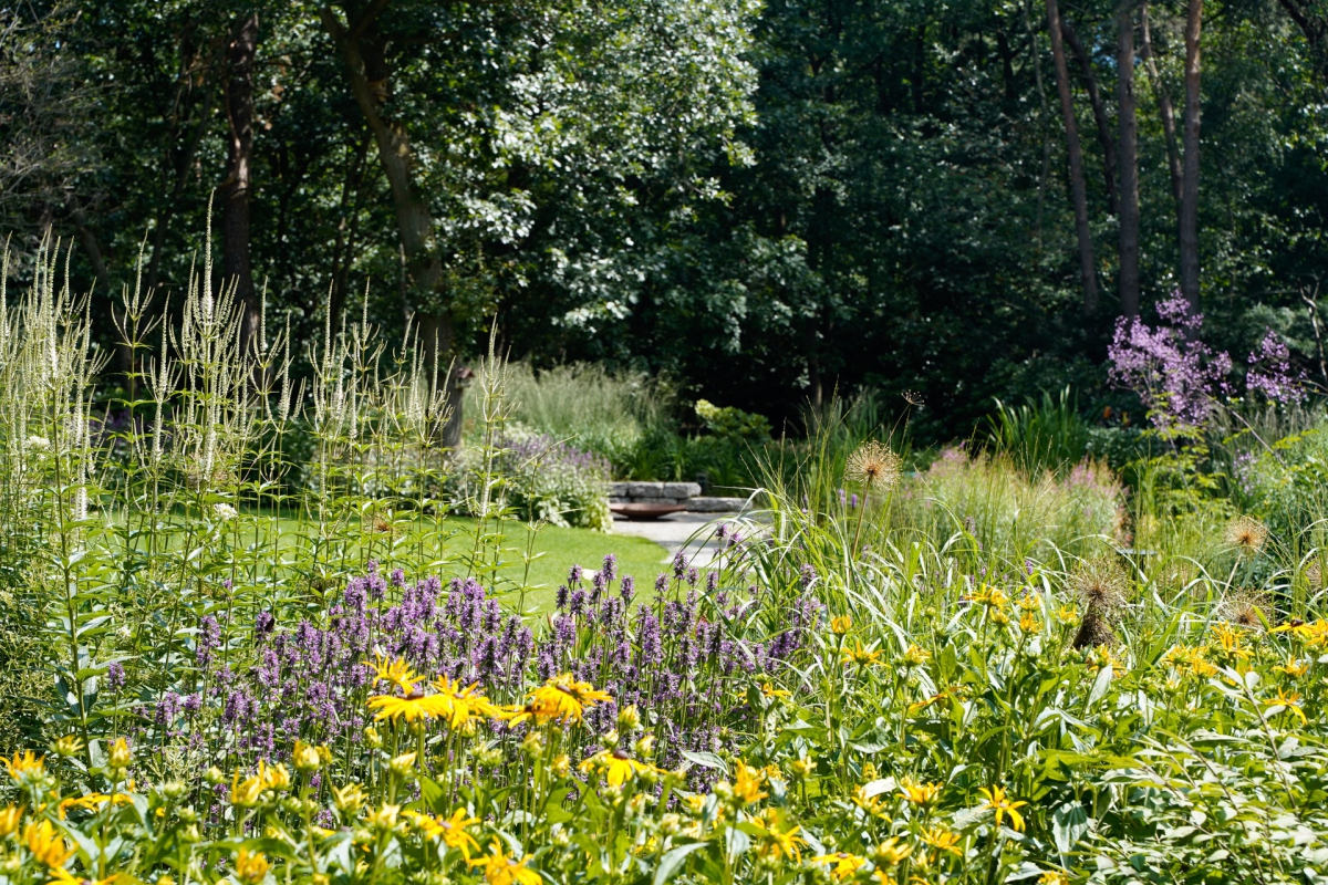 border in bostuin