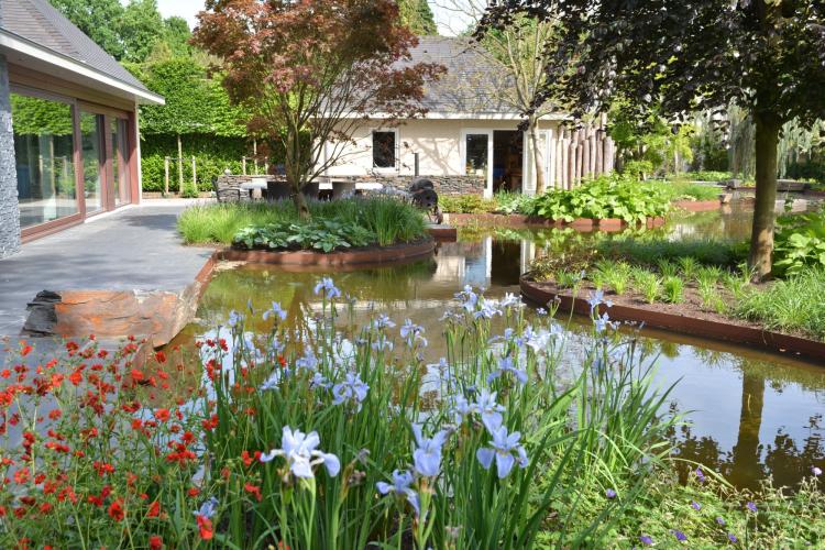 Luxe vijvertuin