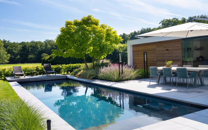 Moderne tuin met zwembad in het landschap