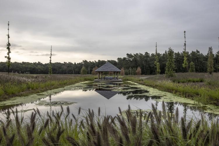 Statige stoeterij Begijnhoeve