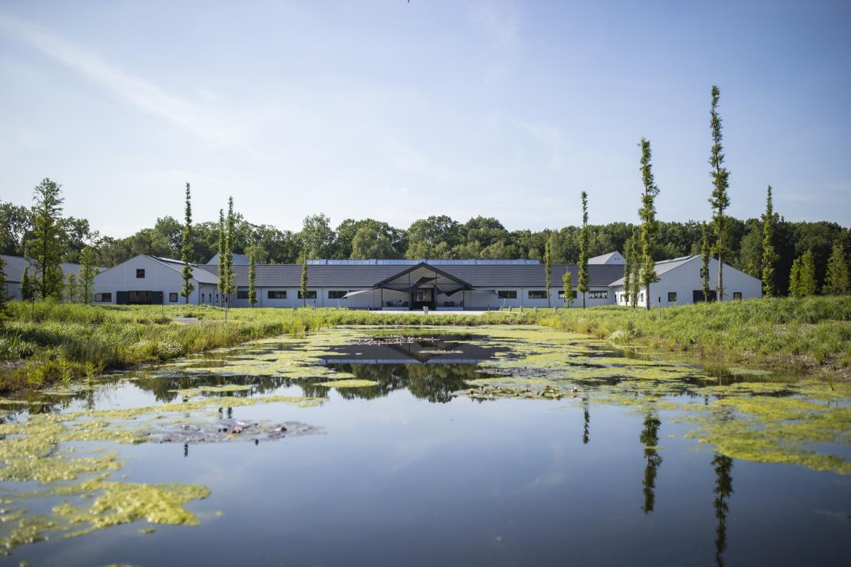 vijver bij stoeterij
