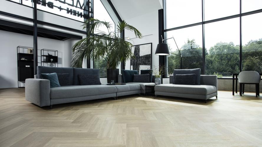 Moderne visgraat