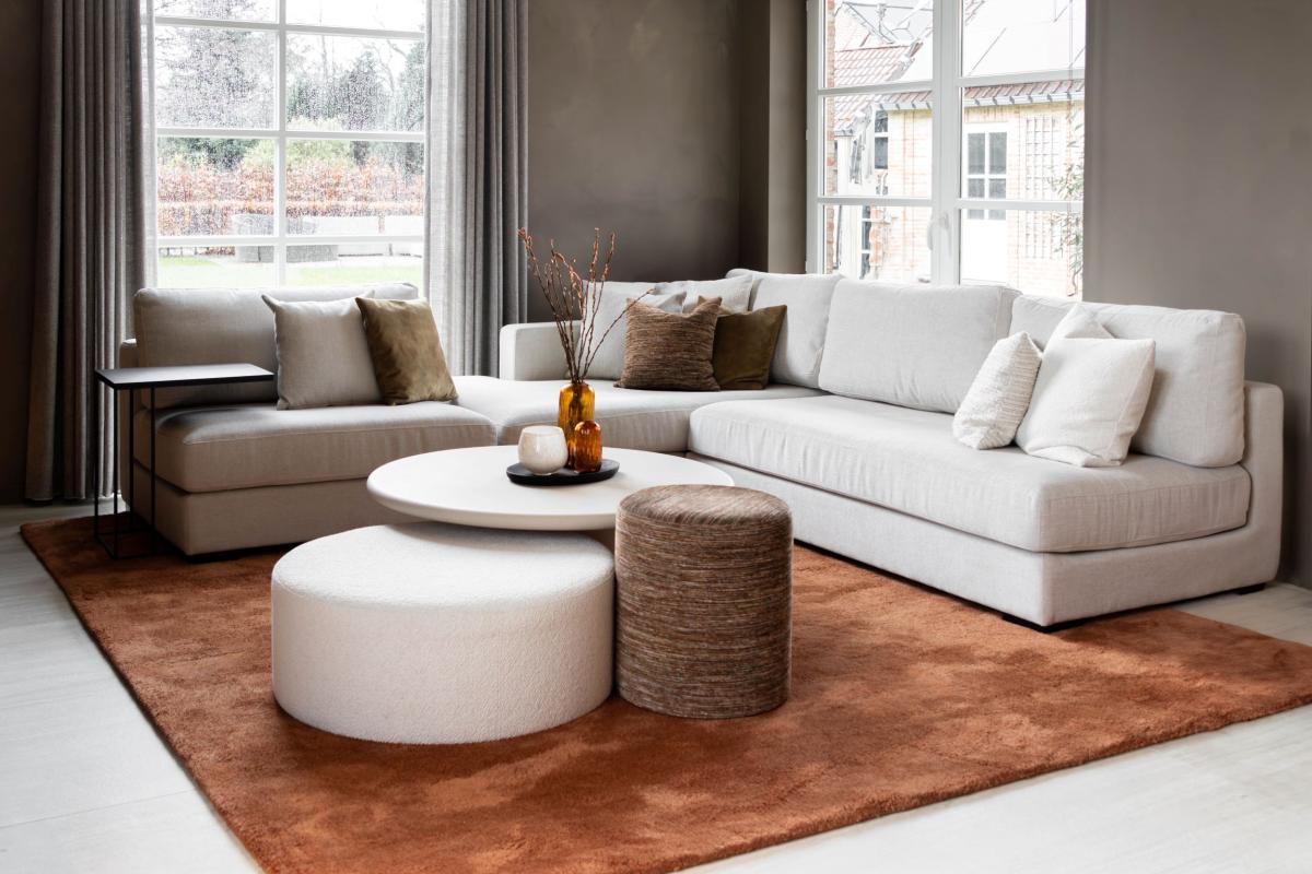 Luxe woonkamer interieur