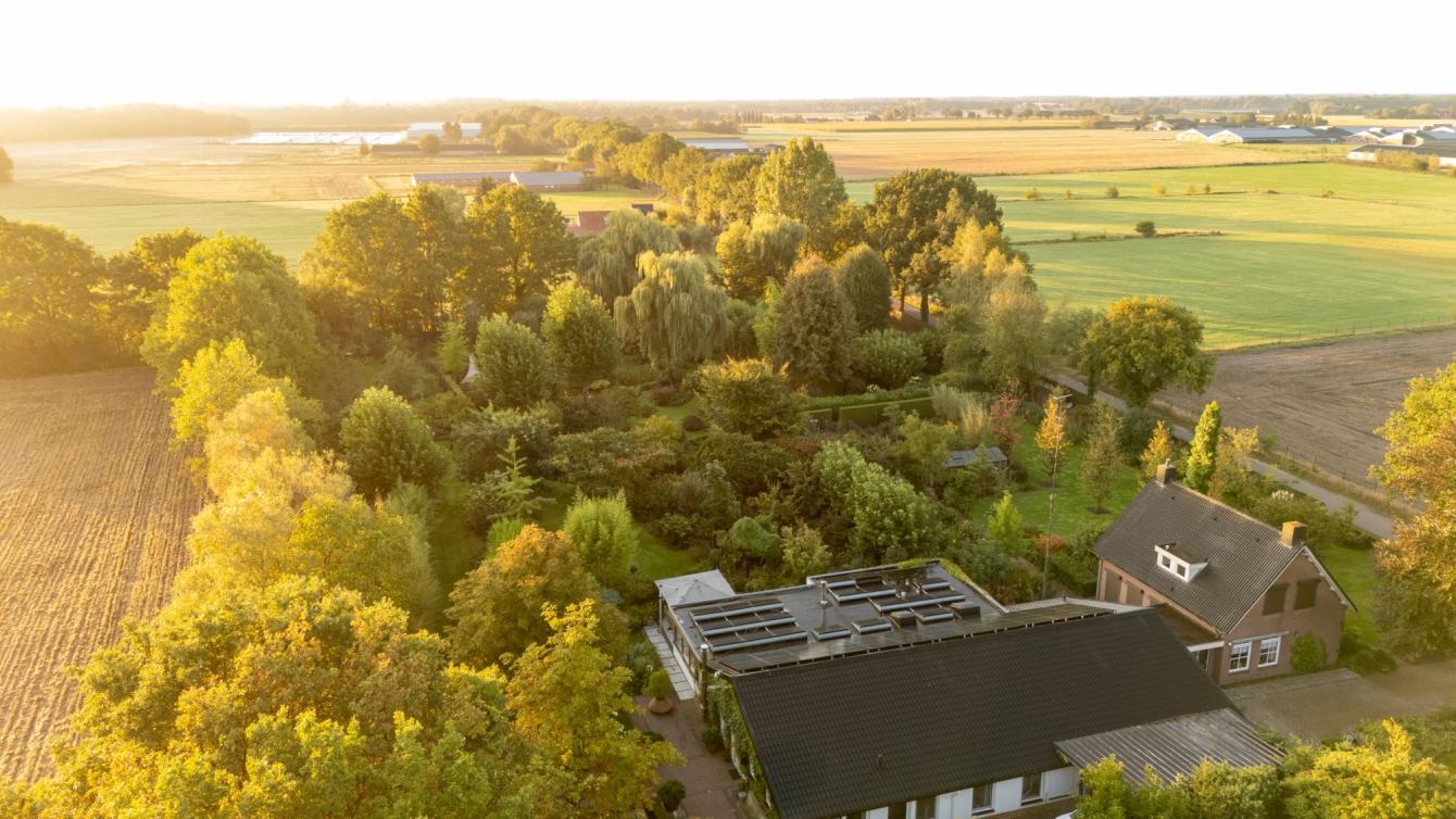 Luxe showtuin