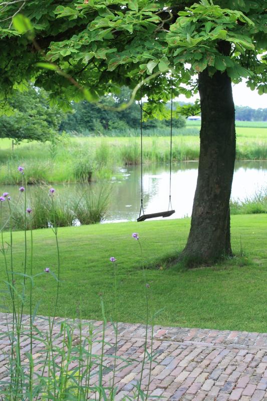 boom met schommel