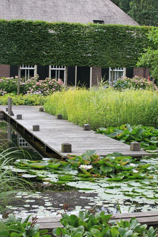 houten vlonder bji vijver