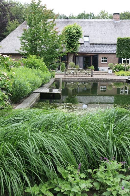 vijver bij boerderij