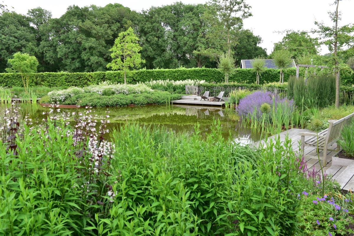 vijver in tuin