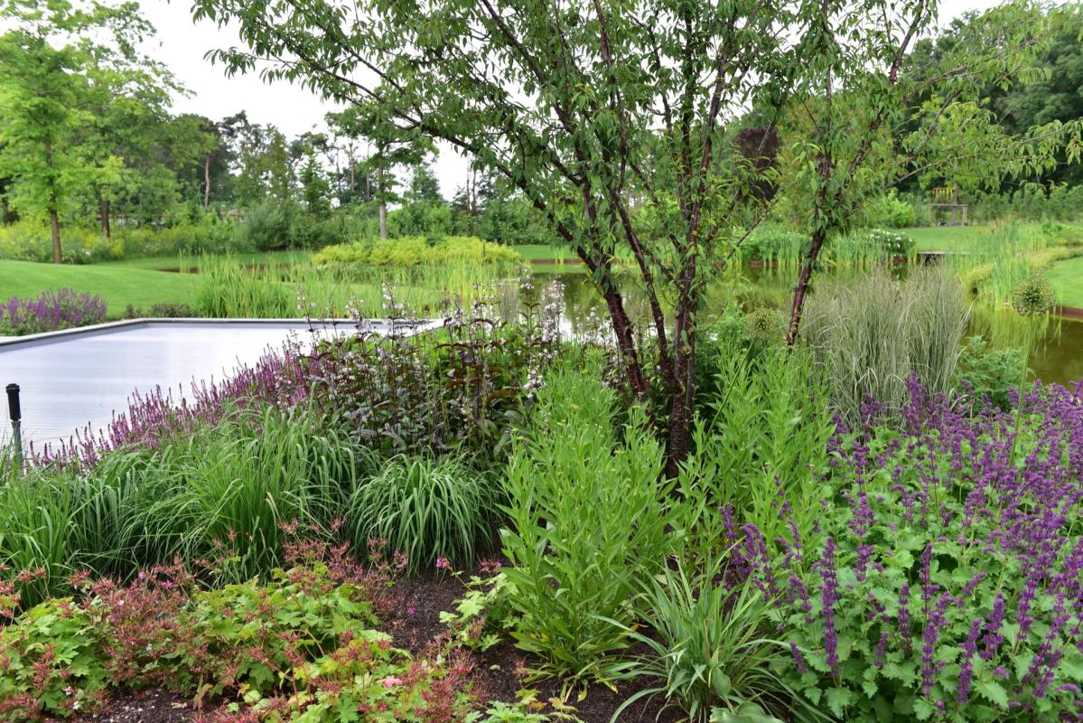 zwembad in boerderijtuin