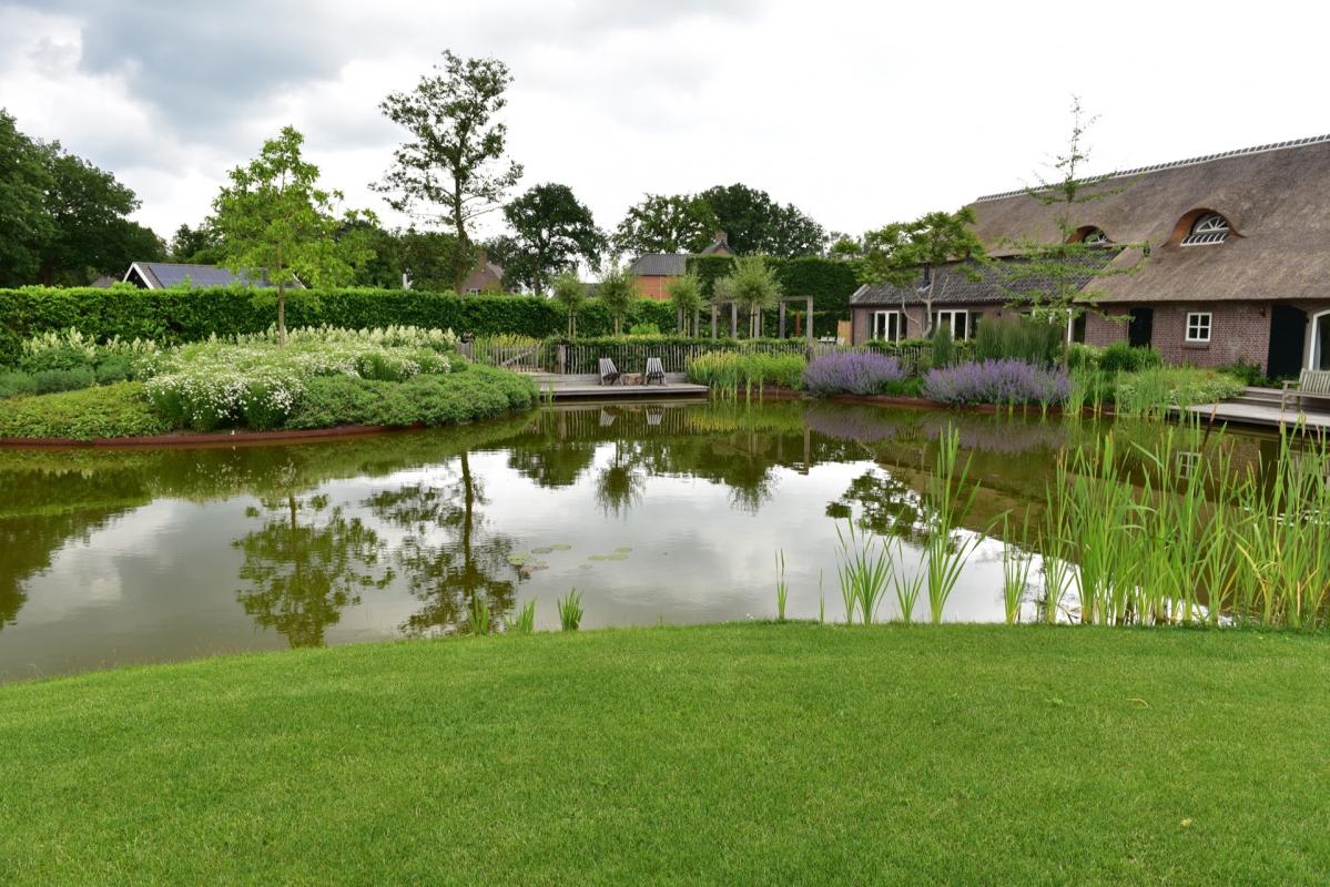 vijver bij boerderij