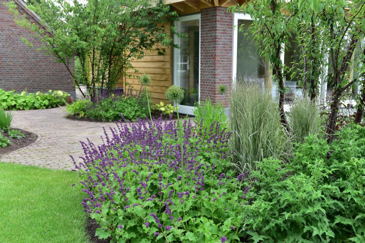 pad in tuin