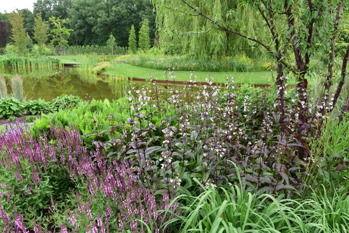 vijver in groene tuin