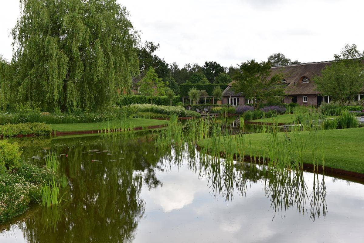 vijver in landelijke tuin