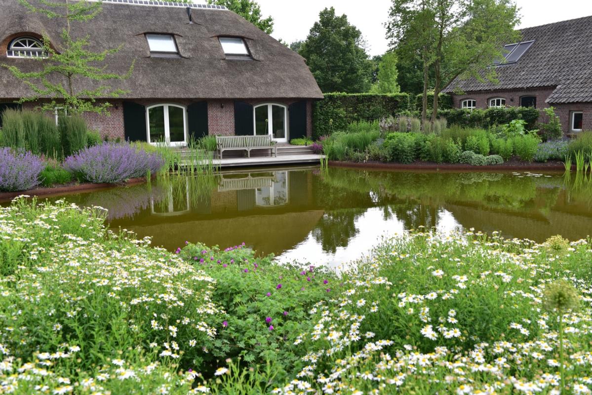 vijver bij boerderij