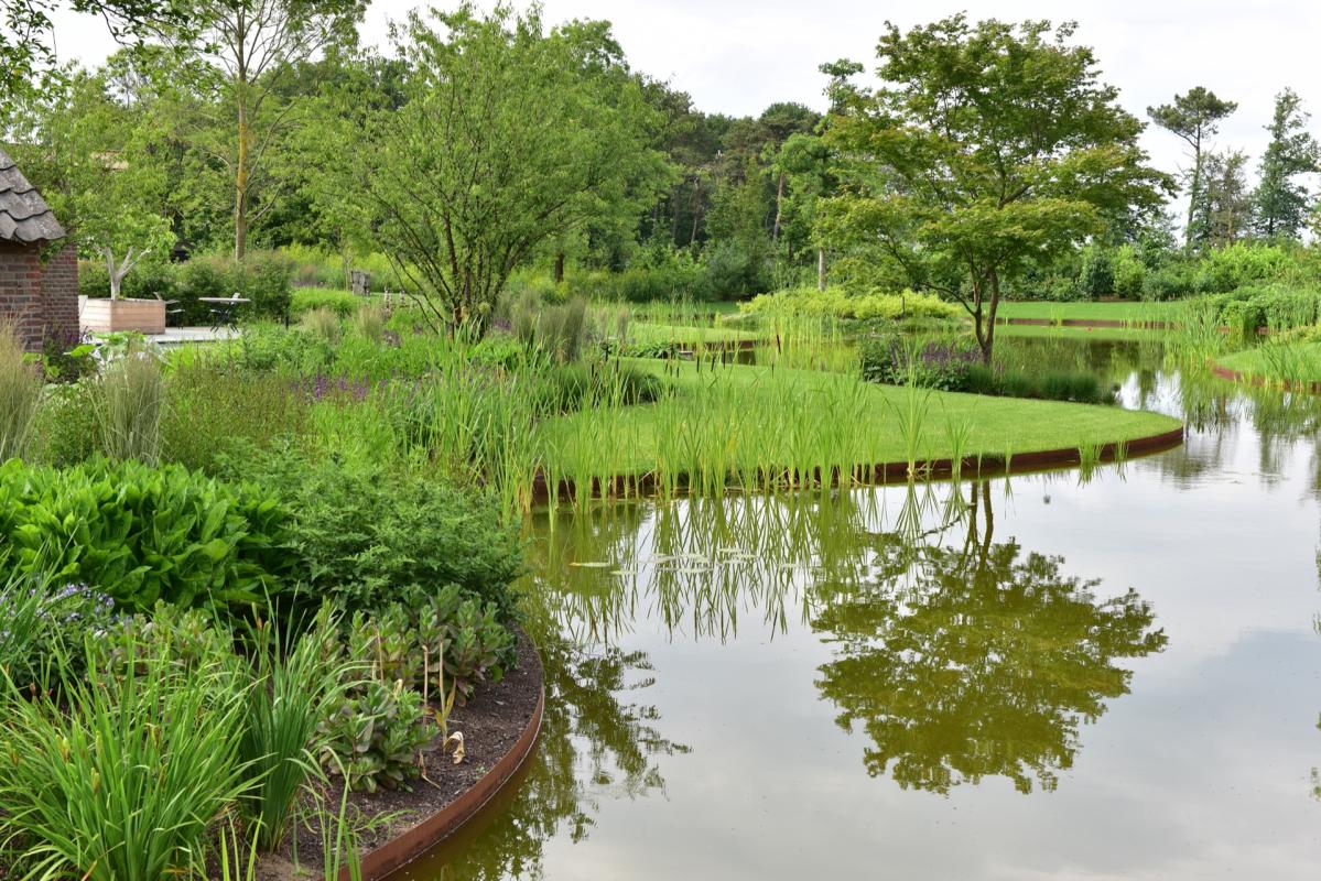 vijver in landelijke tuin