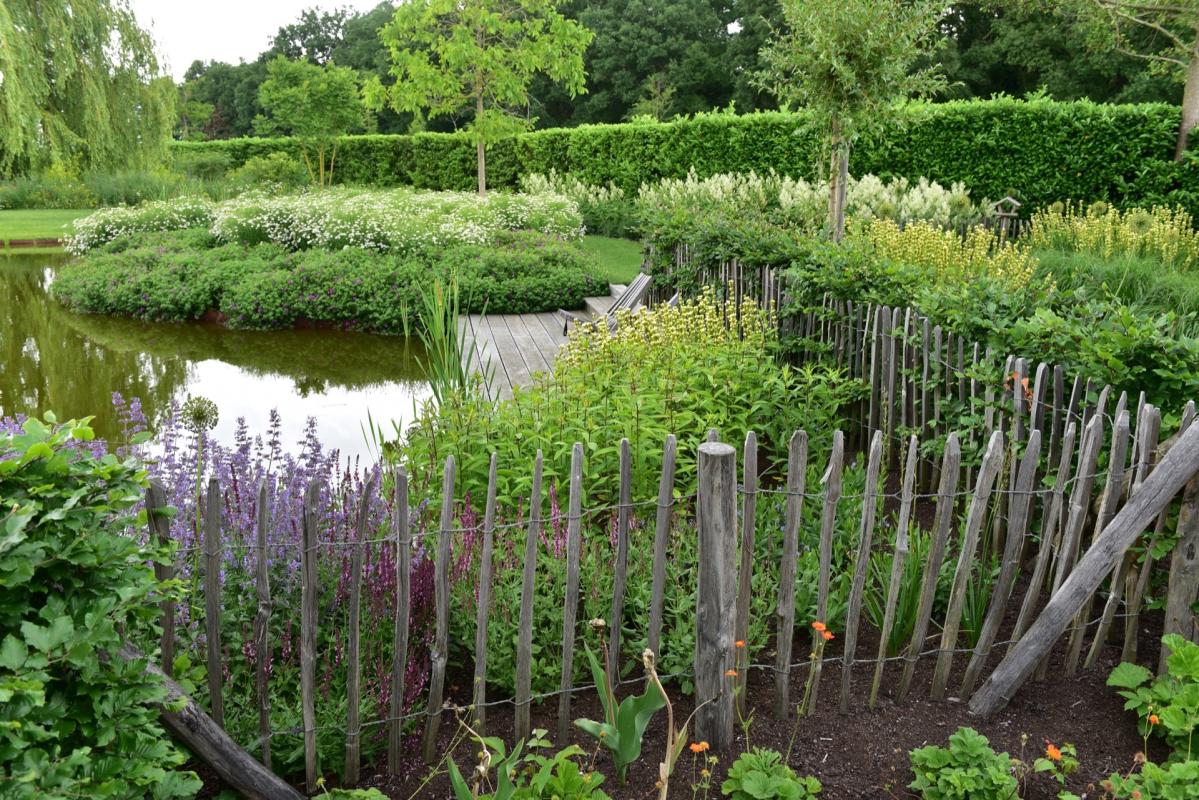 vijver in tuin