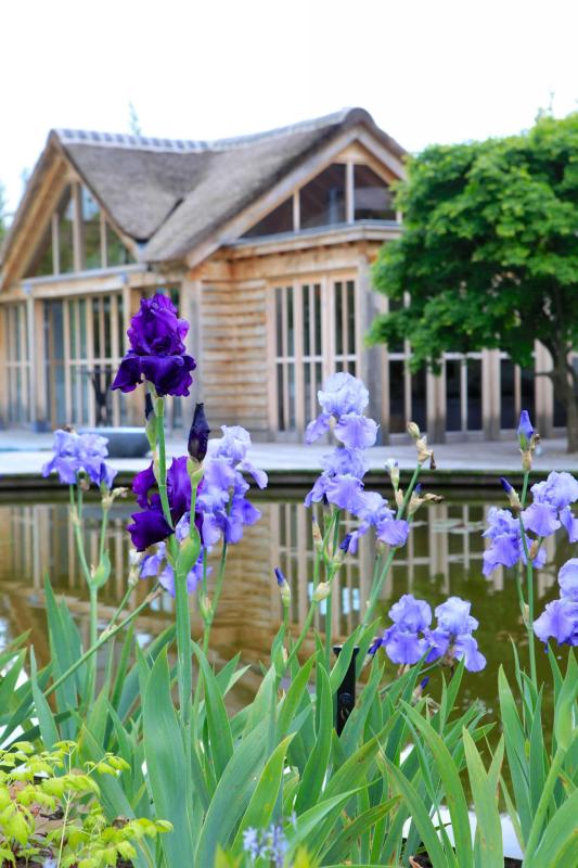 bloemen in villatuin