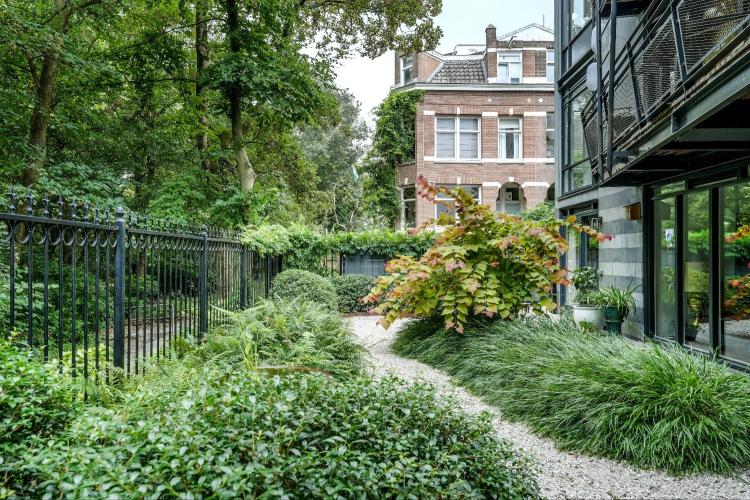 Hartvormige bladeren in hartje Amsterdam