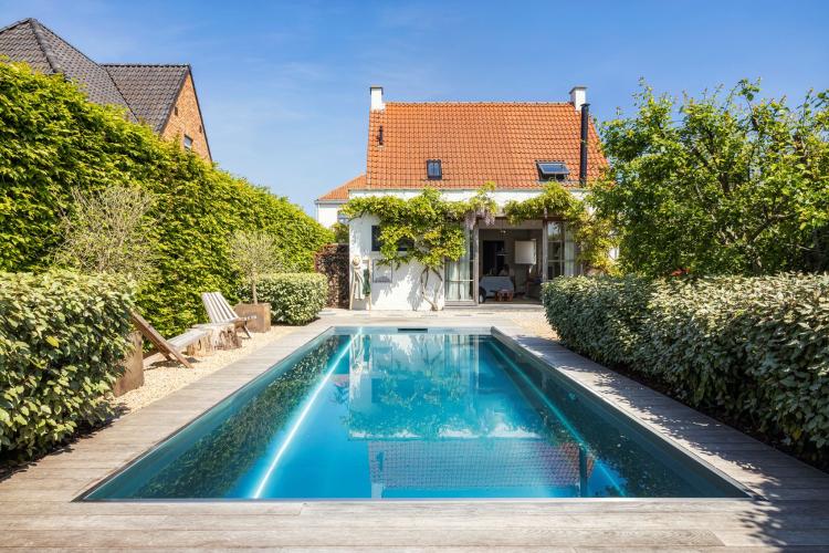 Inox skimmer zwembad Kruisem