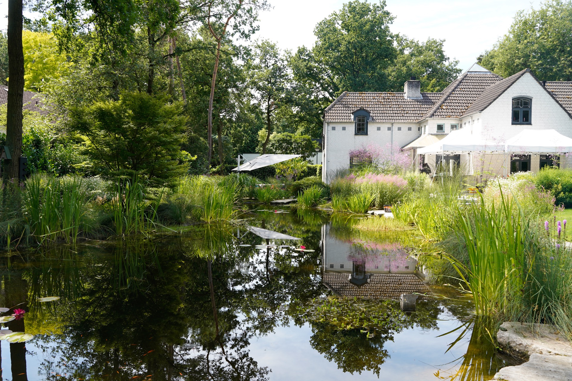 bostuin met villa