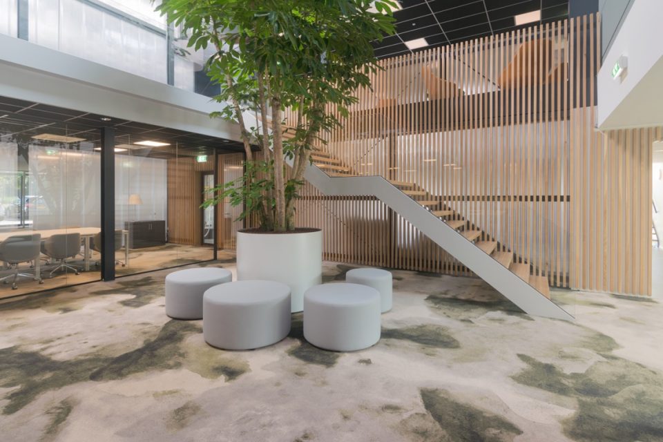 interieur hal met beplanting
