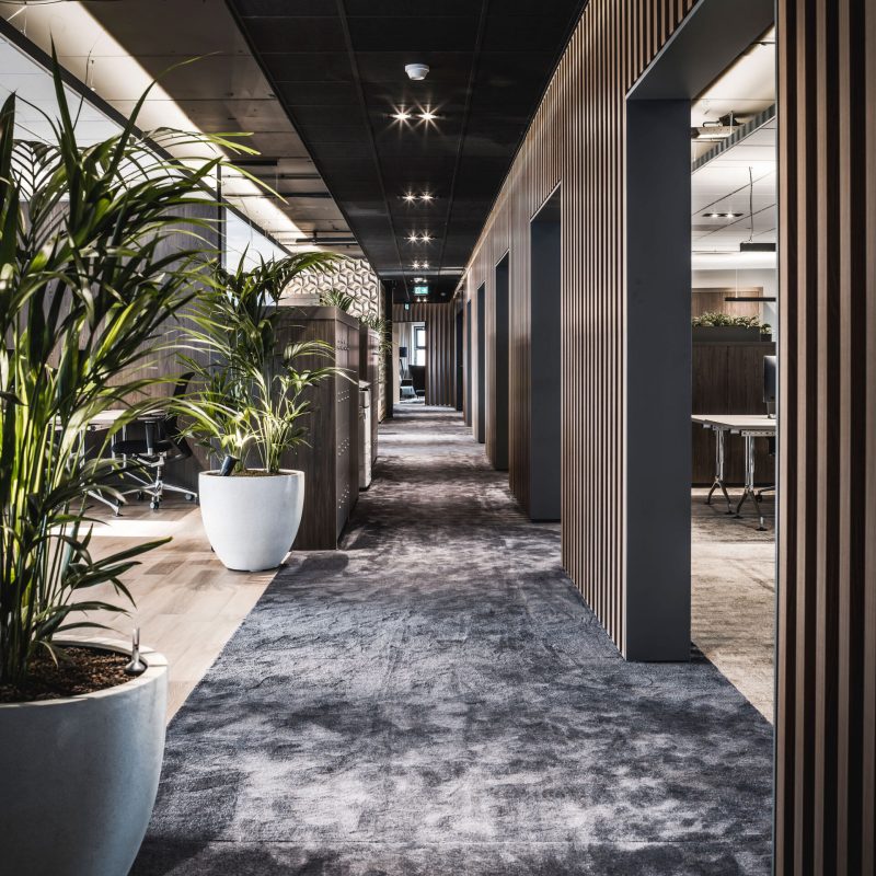 gang op kantoor met planten