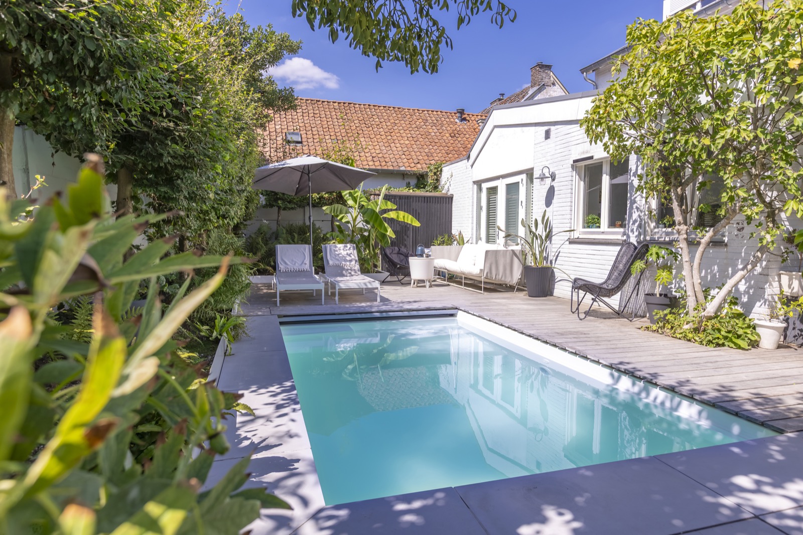 luxe tuin met maatwerk zwembad
