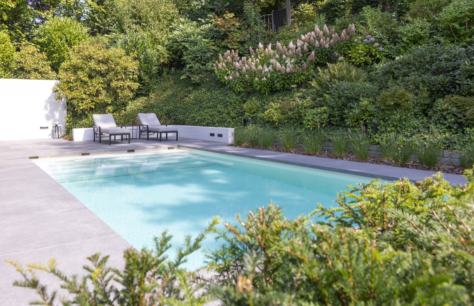 luxe tuin met zwembad