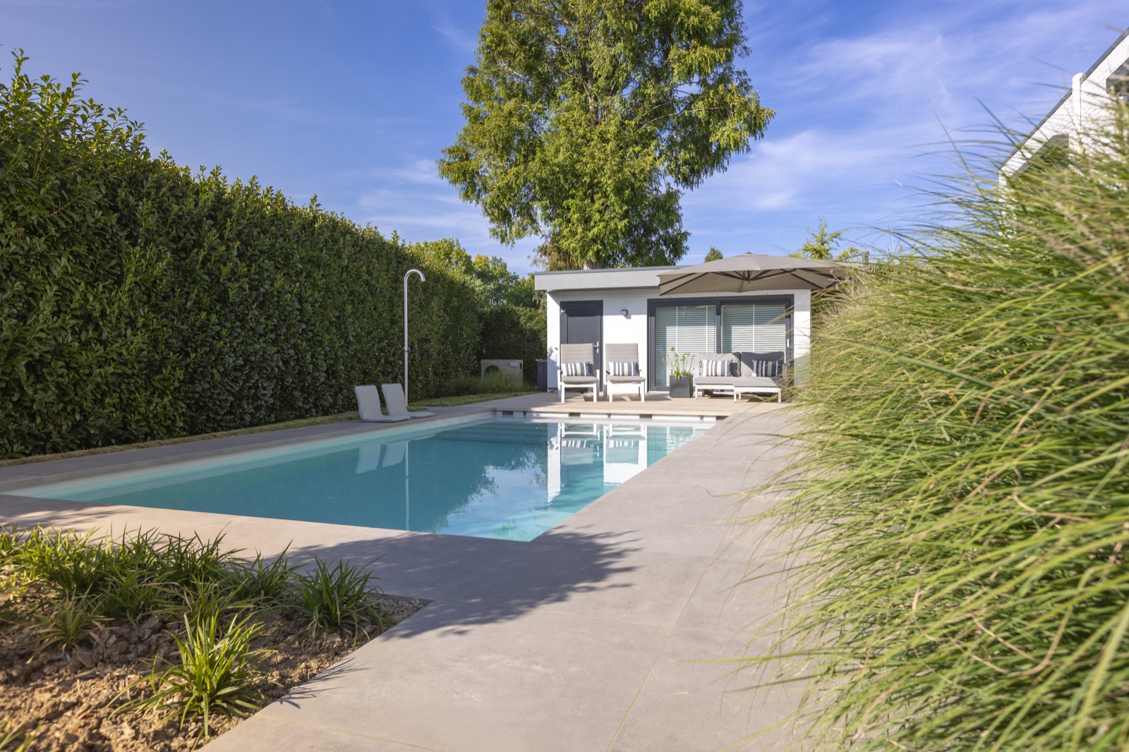 moderne tuin met zwembad