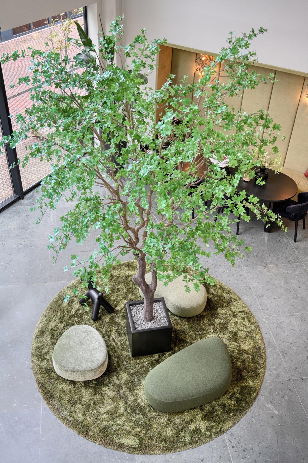 hal met sierboom