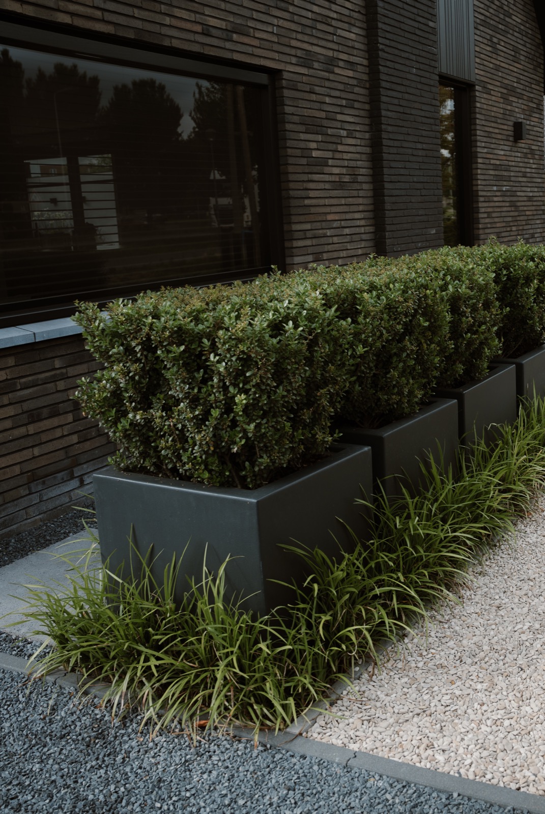 groene beplanting bij oprit