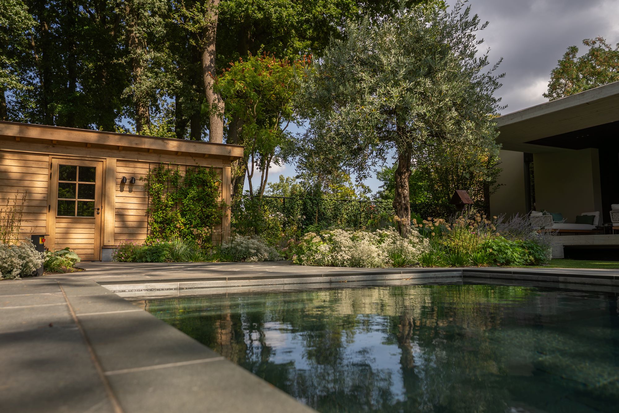 luxe tuin met zwembad